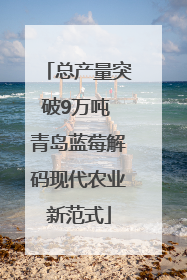 总产量突破9万吨 青岛蓝莓解码现代农业新范式