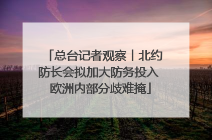 总台记者观察丨北约防长会拟加大防务投入 欧洲内部分歧难掩