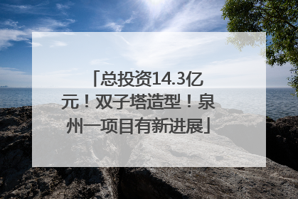 总投资14.3亿元！双子塔造型！泉州一项目有新进展