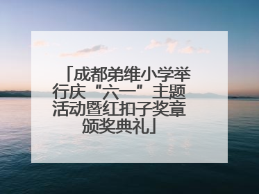 成都弟维小学举行庆“六一”主题活动暨红扣子奖章颁奖典礼