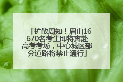 扩散周知！眉山16670名考生即将奔赴高考考场，中心城区部分道路将禁止通行