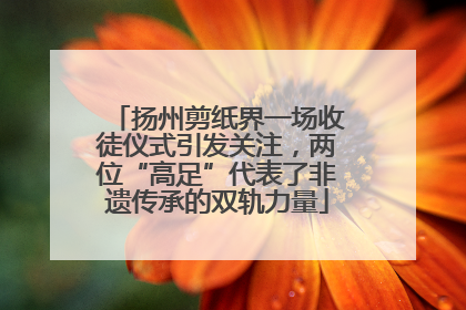 扬州剪纸界一场收徒仪式引发关注，两位“高足”代表了非遗传承的双轨力量