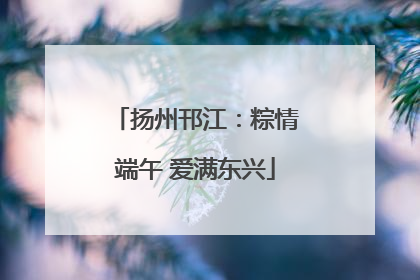 扬州邗江：粽情端午 爱满东兴