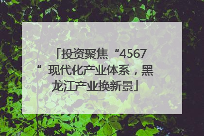 投资聚焦“4567”现代化产业体系，黑龙江产业换新景