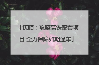 抚顺：攻坚高铁配套项目 全力保障如期通车