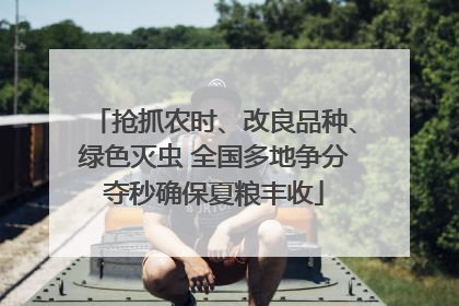 抢抓农时、改良品种、绿色灭虫 全国多地争分夺秒确保夏粮丰收