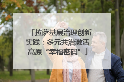 拉萨基层治理创新实践：多元共治激活高原“幸福密码”