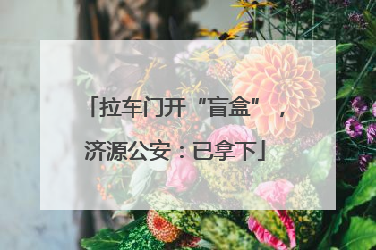 拉车门开“盲盒”，济源公安：已拿下