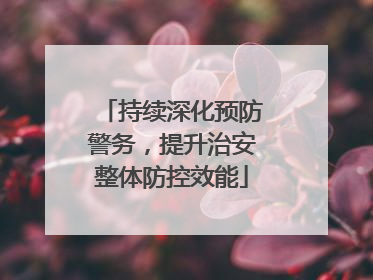 持续深化预防警务，提升治安整体防控效能