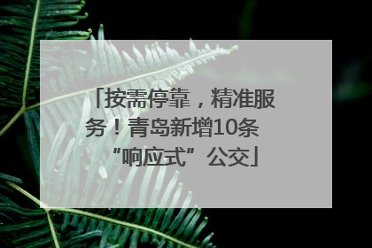 按需停靠，精准服务！青岛新增10条“响应式”公交