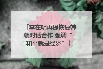 李在明再提恢复韩朝对话合作 强调“和平就是经济”
