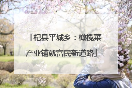 杞县平城乡：橄榄菜产业铺就富民新道路