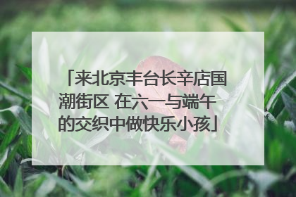来北京丰台长辛店国潮街区 在六一与端午的交织中做快乐小孩