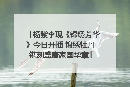 杨紫李现《锦绣芳华》今日开播 锦绣牡丹镌刻盛唐家国华章