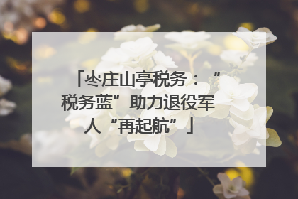 枣庄山亭税务：“税务蓝”助力退役军人“再起航”