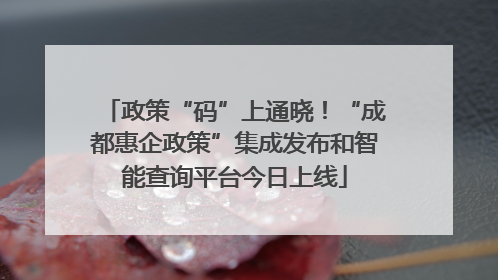 政策“码”上通晓！“成都惠企政策”集成发布和智能查询平台今日上线