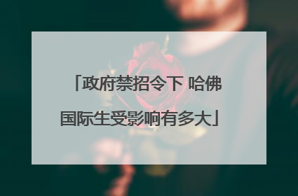 政府禁招令下 哈佛国际生受影响有多大