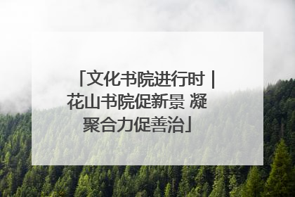 文化书院进行时｜花山书院促新景 凝聚合力促善治
