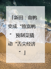新田：血鸭变成“致富鸭” 预制菜撬动“舌尖经济”