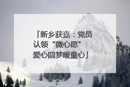 新乡获嘉：党员认领“微心愿” 爱心圆梦暖童心