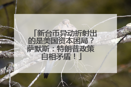 新台币异动折射出的是美国资本困局？萨默斯：特朗普政策自相矛盾！