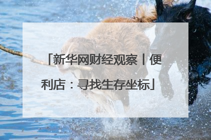 新华网财经观察丨便利店：寻找生存坐标