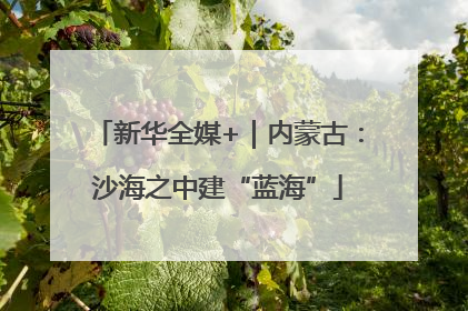 新华全媒+｜内蒙古：沙海之中建“蓝海”