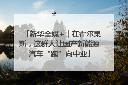 新华全媒+｜在霍尔果斯，这群人让国产新能源汽车“跑”向中亚
