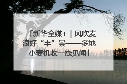 新华全媒+｜风吹麦浪好“丰”景——多地小麦机收一线见闻