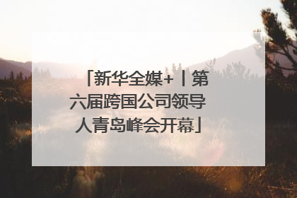 新华全媒+丨第六届跨国公司领导人青岛峰会开幕