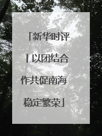 新华时评丨以团结合作共促南海稳定繁荣
