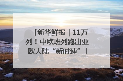 新华鲜报｜11万列！中欧班列跑出亚欧大陆“新时速”