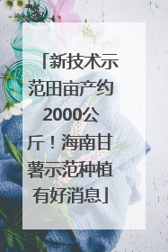 新技术示范田亩产约2000公斤！海南甘薯示范种植有好消息