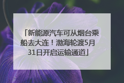 新能源汽车可从烟台乘船去大连！渤海轮渡5月31日开启运输通道