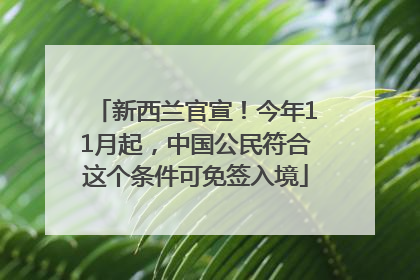 新西兰官宣！今年11月起，中国公民符合这个条件可免签入境