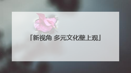 新视角 多元文化壁上观