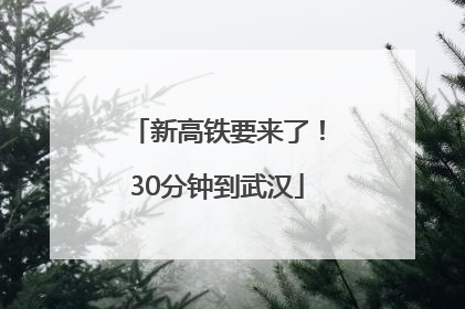 新高铁要来了！30分钟到武汉