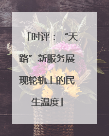 时评：“天路”新服务展现轮轨上的民生温度