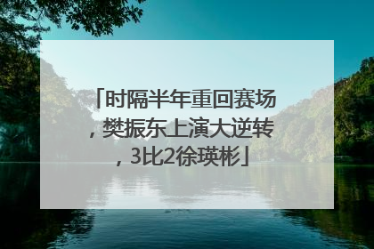 时隔半年重回赛场，樊振东上演大逆转，3比2徐瑛彬