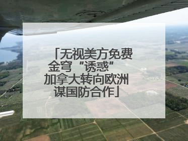 无视美方免费金穹“诱惑” 加拿大转向欧洲谋国防合作