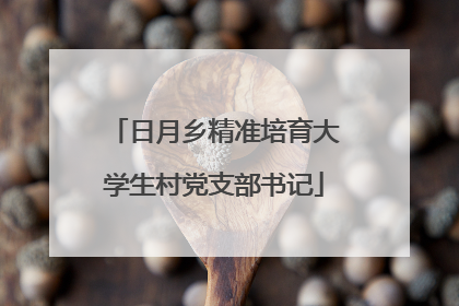 日月乡精准培育大学生村党支部书记