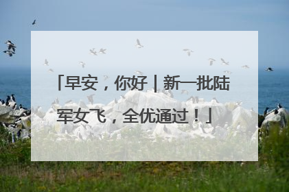 早安，你好｜新一批陆军女飞，全优通过！