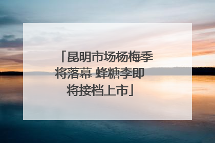 昆明市场杨梅季将落幕 蜂糖李即将接档上市