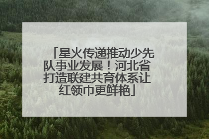 星火传递推动少先队事业发展！河北省打造联建共育体系让红领巾更鲜艳