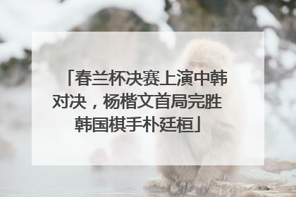 春兰杯决赛上演中韩对决，杨楷文首局完胜韩国棋手朴廷桓