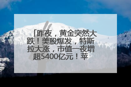 昨夜，黄金突然大跌！美股爆发，特斯拉大涨，市值一夜增超5400亿元！苹果传来大消息