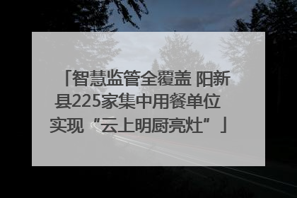智慧监管全覆盖 阳新县225家集中用餐单位实现“云上明厨亮灶”