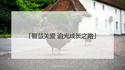 智慧关爱 追光成长之路