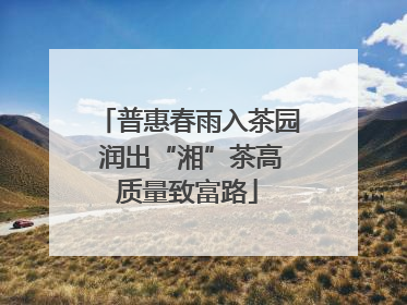 普惠春雨入茶园 润出“湘”茶高质量致富路