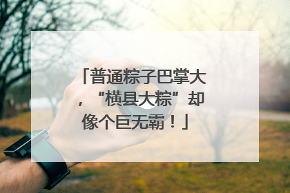 普通粽子巴掌大，“横县大粽”却像个巨无霸！
